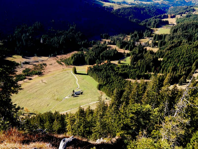 Einatmen. Loslassen. Das Strausbergmoos ist kein Moor wie jedes andere.