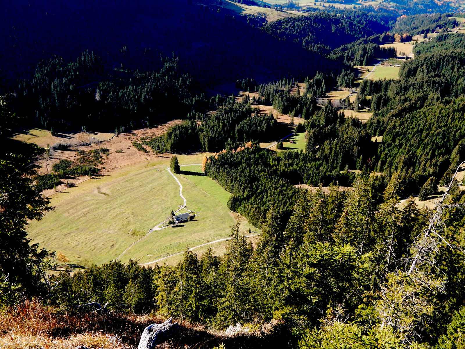 Einatmen. Loslassen. Das Strausbergmoos ist kein Moor wie jedes andere.
